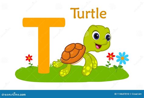 Animal Alphabet T.T for Tirtle Stock Vector - Illustration of wall ...