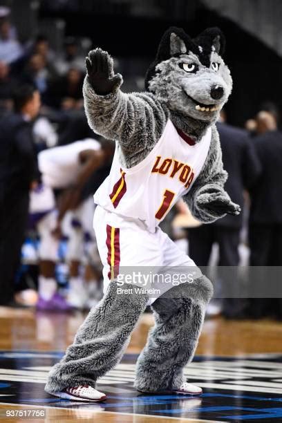 Loyola Chicago Mascot Photos and Premium High Res Pictures - Getty Images