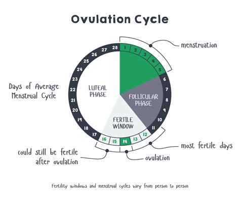 Clue: An App for Period & Ovulation Tracking - HotDoc