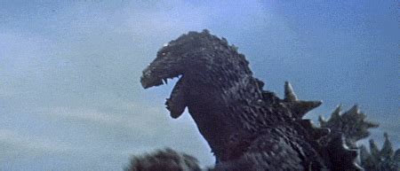 king kong vs. godzilla king kong gif | WiffleGif