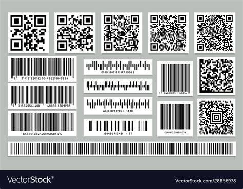 Set isolated rectangle barcode square qr code Vector Image