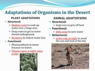 Adaptations in different biomes notes | PPT