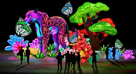 Luminosa Festival of Lights at Jungle Island 11/21/23-2/28/24 – The ...