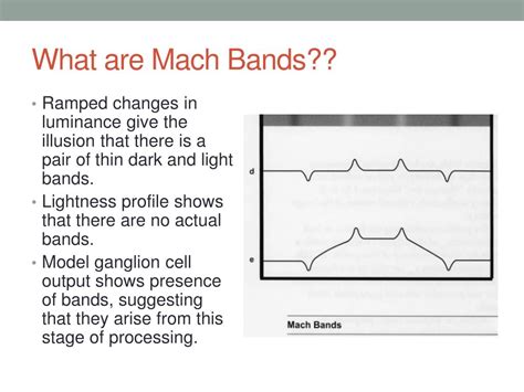 PPT - Mach bands! PowerPoint Presentation, free download - ID:2232161