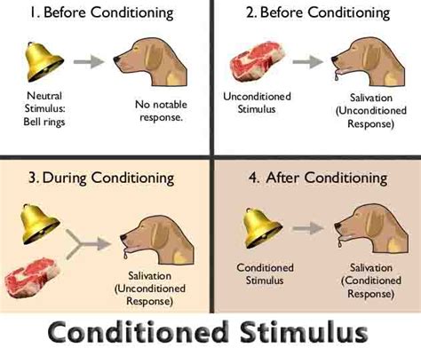 Conditioned Stimulus