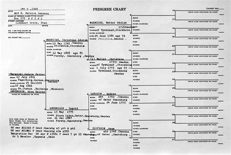 Anders Petter Warnick (my 3x great grandfather) Pedigree Chart | Pedigree chart, Family history ...