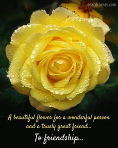 47 Yellow Rose of Friendship ideas | rose, yellow roses, flowers