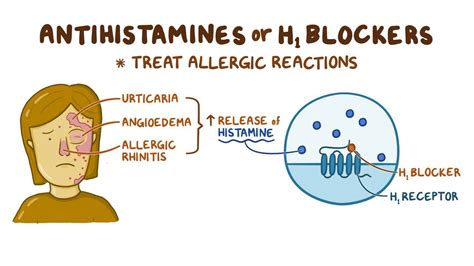 Antihistamines for allergies: Video & Anatomy | Osmosis