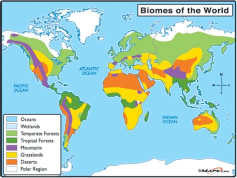 Desert Biome - Biome Map