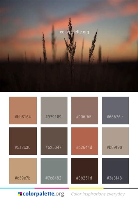 Sky Atmosphere Morning Color Palette | colorpalette.org