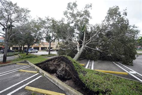 Here's how to get your Hurricane Ian debris picked up in St. Pete - WMNF 88.5 FM