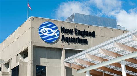 Hotels near New England Aquarium (Boston) from ₹ 5,805/night - KAYAK