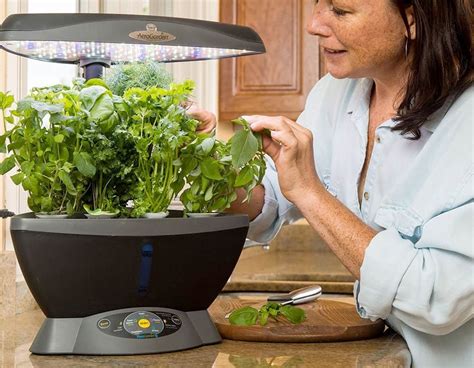 Indoor Hydroponic Herb Garden Systems & Kits - Better Gardener's Guide