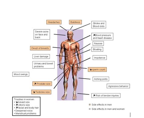 Spotting The Signs Of Anabolic Steroid Abuse - Good Life Family Magazine