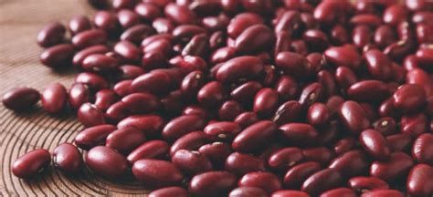 Kidney Beans Nutrition, Benefits, Side Effects and Recipes - Dr. Axd