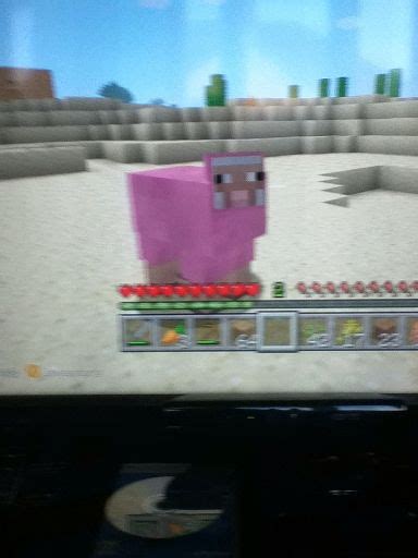 PINK SHEEP | Minecraft Amino