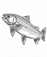 Black And White Rainbow Trout Coloring Page Design Stock Illustration  sketch template