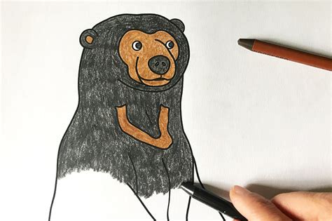 Sun Bear | Free Printable Templates & Coloring Pages | FirstPalette.com