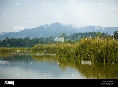 Malaysia, Pahang, Tasik Chini (Chini Lake), lake and surrounding landscape Stock Photo - Alamy