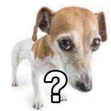 "? question mark dog meme" Sticker for Sale by BoomerStickers | Redbubble