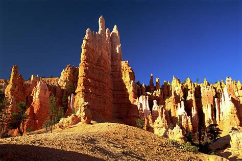 Rock Formations In Bryce Canyon by Comstock Images