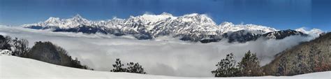 Endangered wildlife in the Annapurna National Park, Nepal / Manfred ...