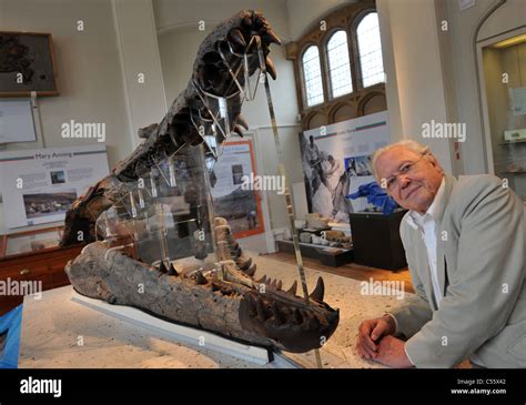 UK, Dorset, Sir David Attenborough unveils a 150 million year old giant ...