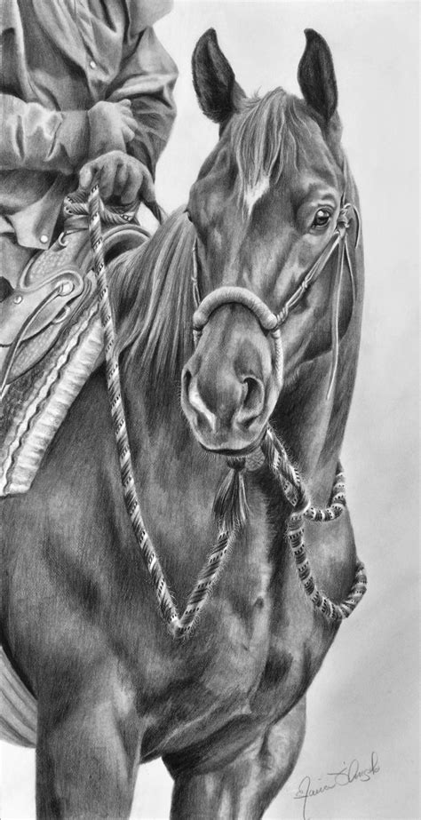 Horse drawings, Horse art drawing, Horses