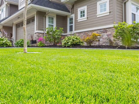 Lawn Maintenance Company | Turf Pro Inc.