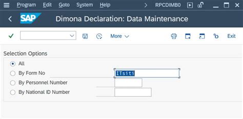 RPCDIMB0: Dimona Declaration: Data Maintenance