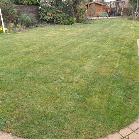 When to Put Moss Killer on UK Lawns? (Best Time to Apply)