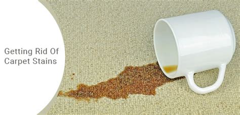 How To Get Rid Of Stubborn Carpet Stains | Royal Building Cleaning Ltd