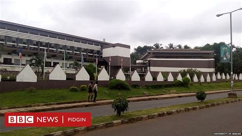 University of Ibadan na Nigeria best school? - BBC News Pidgin