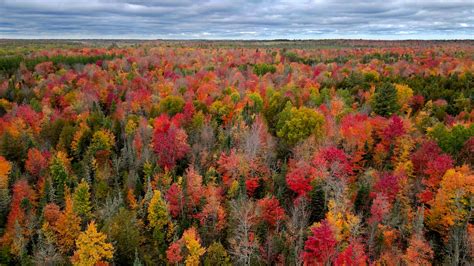 Wisconsin fall colors map: Central areas peaking, south variable