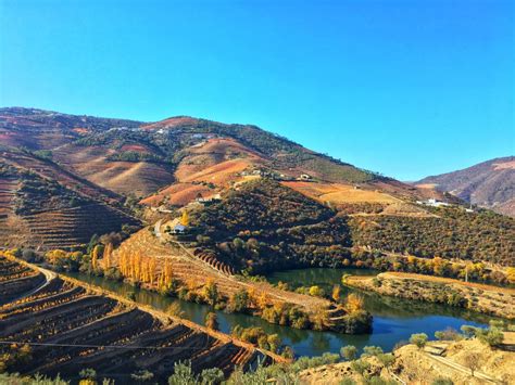 Private and personalized 1-day tour discovering Douro Valley | GENUINE