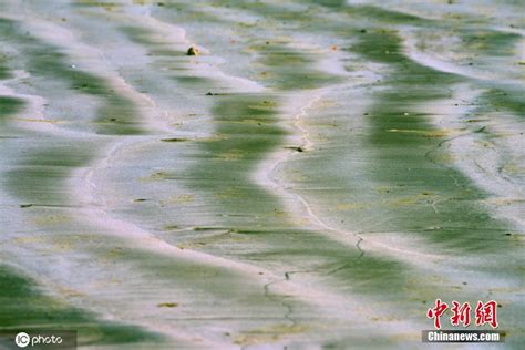 海南琼海海滩微景醉游人 “高山”“河流”纵横交错