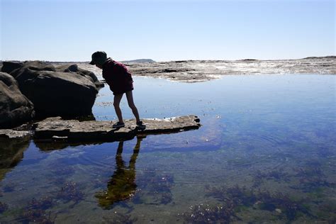 A wanderer's guide to Iluka - Milkwood: permaculture courses, skills + stories