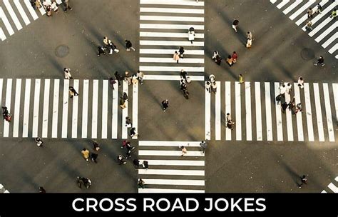 7+ Cross Road Jokes And Funny Puns - JokoJokes