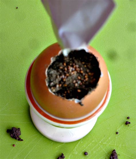 Seed Starting In Eggshells - Start A Mini Garden - AppleGreen Cottage