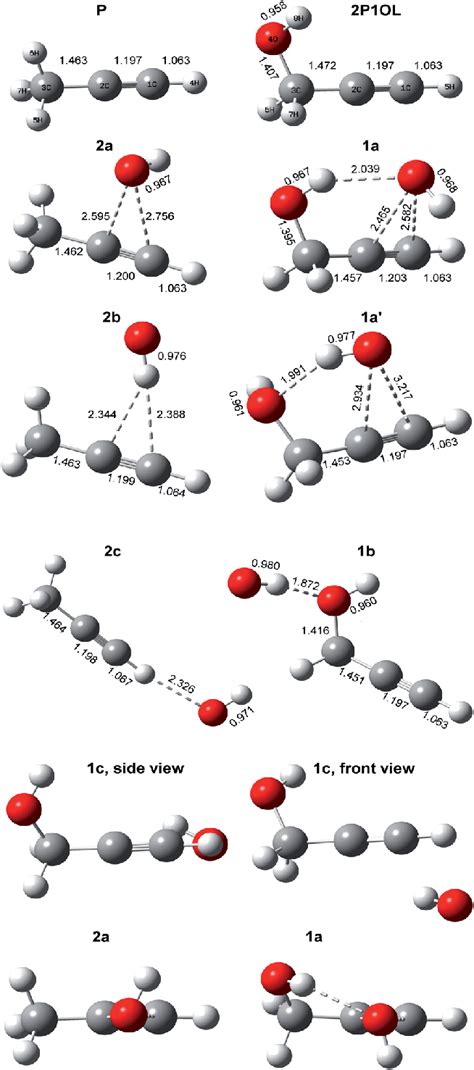 Structure of propyne (P), propargyl alcohol (2P1OL) and the initial... | Download Scientific Diagram