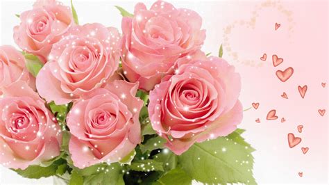 Pretty Pink Roses Wallpaper - Pink (Color) Photo (34590812) - Fanpop