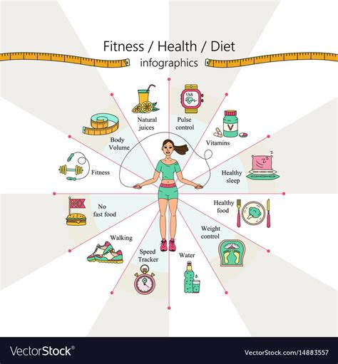 Weight loss diet infographics Royalty Free Vector Image