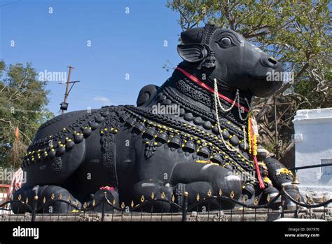 Asia, India, Karnataka, Mysore, Chamundi Hill, Nandi Statue Stock Photo, Royalty Free Image ...