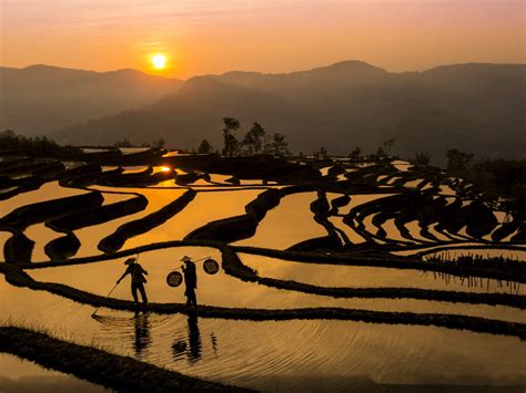 The Photo Gallery of Yuanyang Hani Rice Terraces, Honghe – Yunnan ...