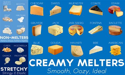 Types Of Cheese Chart