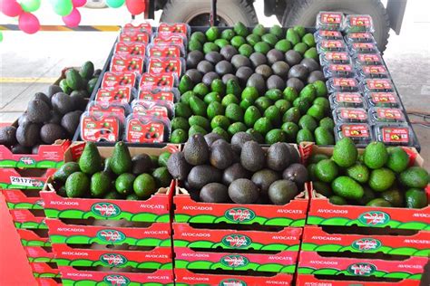 Westfalia India opens first avocado ripening facility