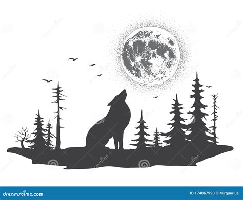 Lonely Wolf Howling at the Moon Stock Vector - Illustration of spruce ...