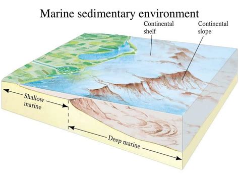 PPT - SEDIMENTARY GEOLOGY OVERVIEW PowerPoint Presentation, free download - ID:210795