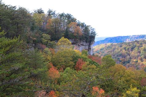 Discovering Majestic Pogue Creek Canyon in Jamestown, Tennessee - Camels & Chocolate