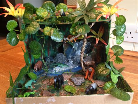 Our rainforest in a shoe box. | Habitats projects, Rainforest project, Animal habitats